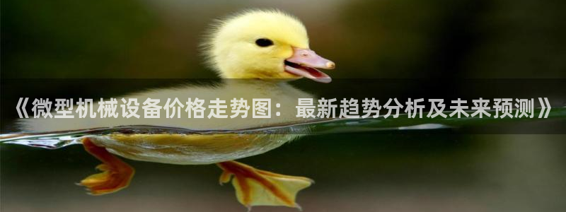 九游会ag登陆