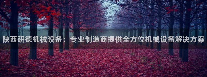 九游会大家觉得怎么样