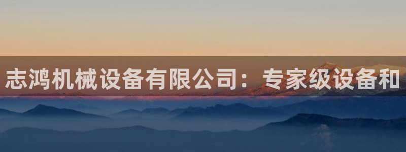 九游会是ag吗