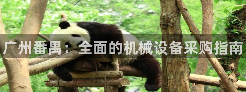 九游官网j9活动介绍