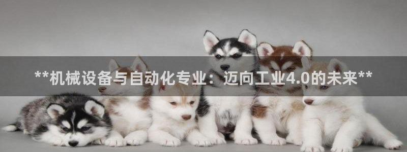 9游会ag