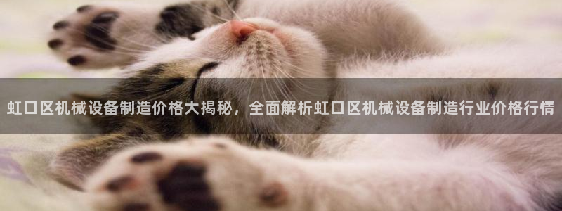 九游会是真的吗
