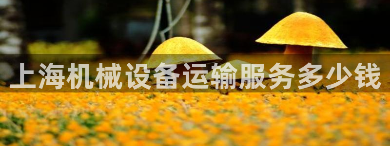 J9九游会J9