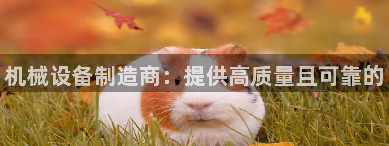 九游会j9