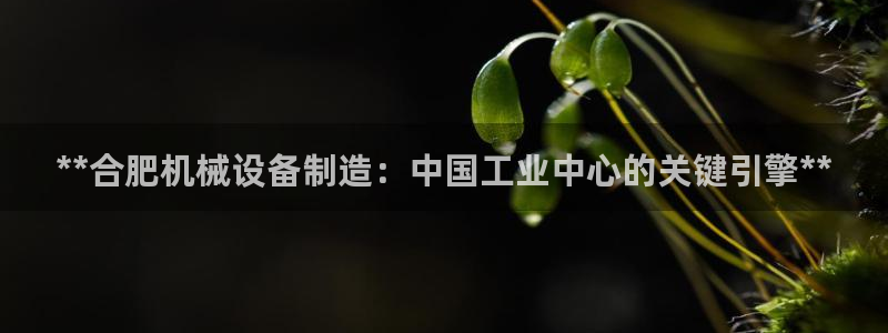 九游j9官网