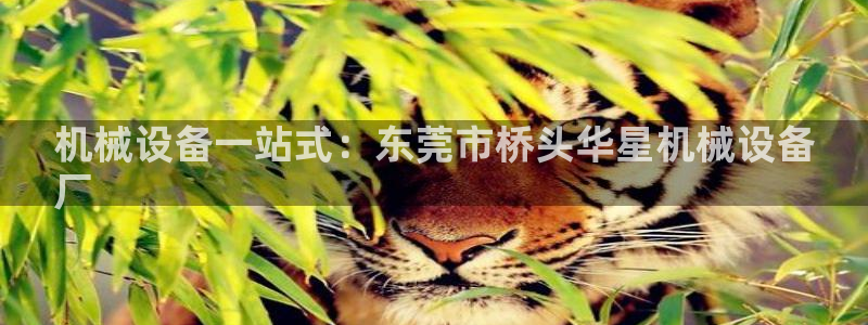 九游会老哥俱乐部论坛版