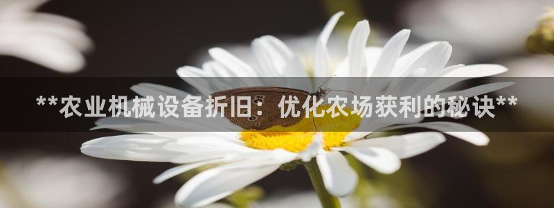 九游会集团菲律宾