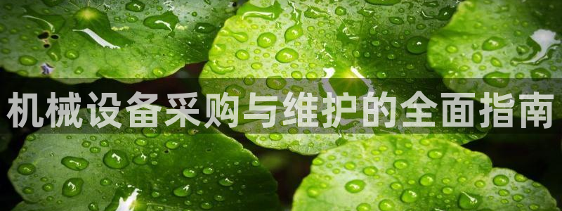 九游会老哥俱乐部社区论坛