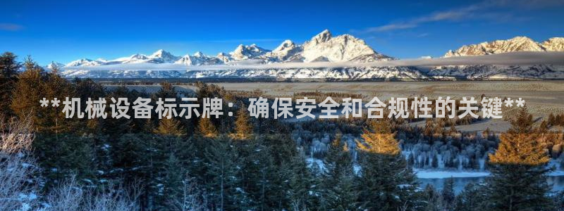 九游会平台最强