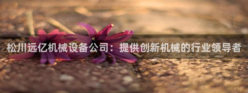 J9九游会旧版