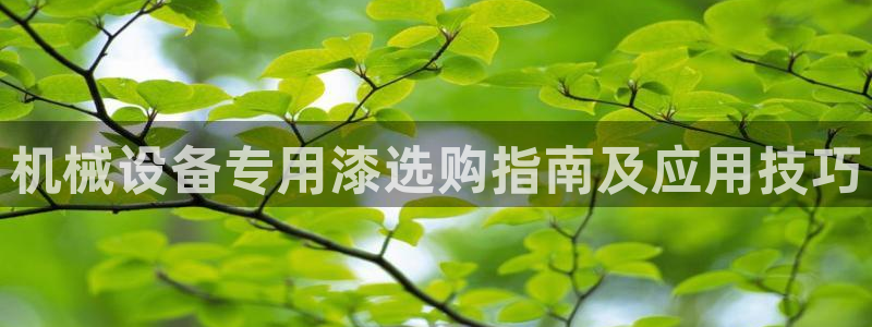 九游会数字货币