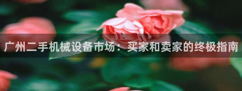 j9九游会ag8手机aPP