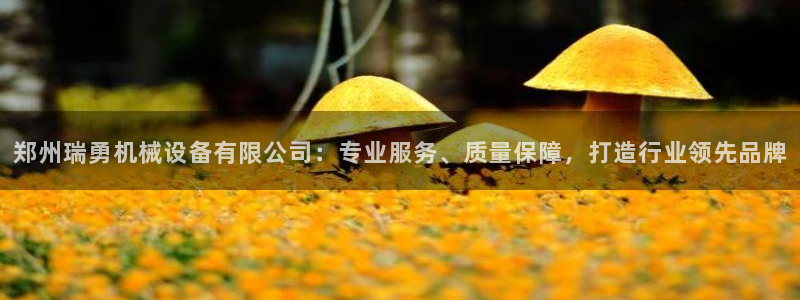 九游会官方网站中心