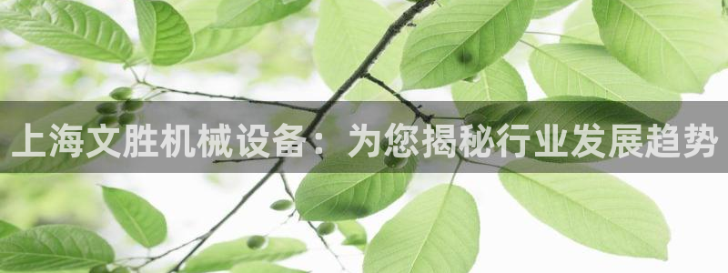 九游会vip
