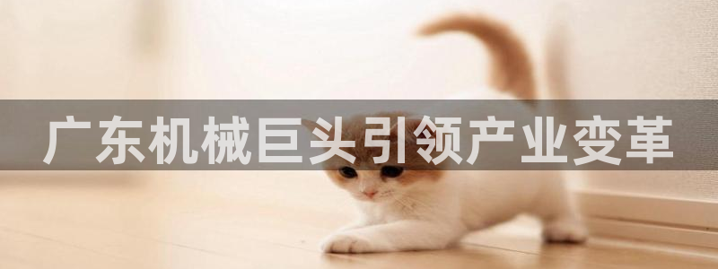 ag九游会老哥