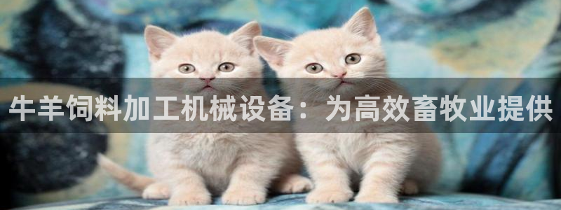 九游会官网页