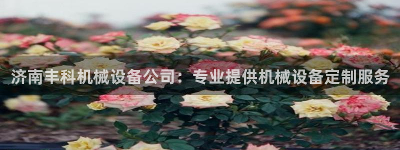 九游会游戏官网网页版