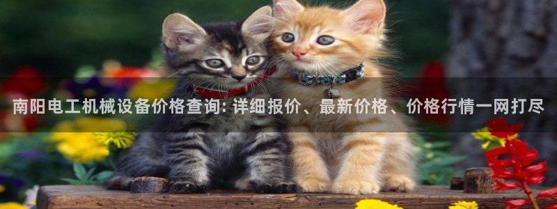 九游会是什么