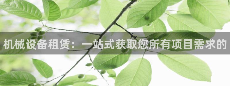九游会黑钱吗
