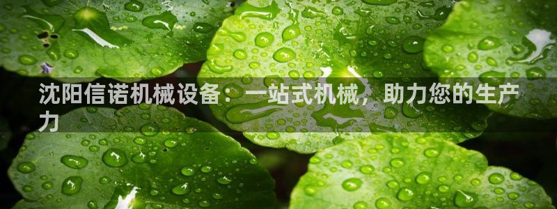 ag九游会老哥