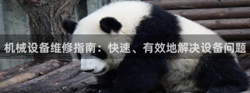 九游会网址登录不上：