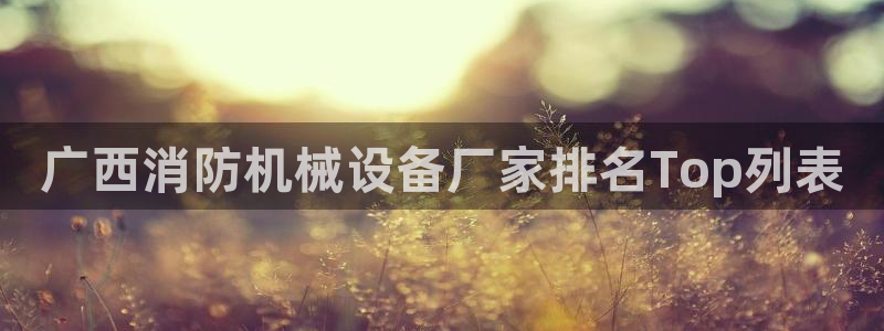 j9九游会永久域名