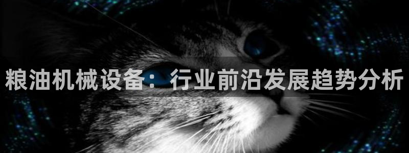 j9九游会备用网址